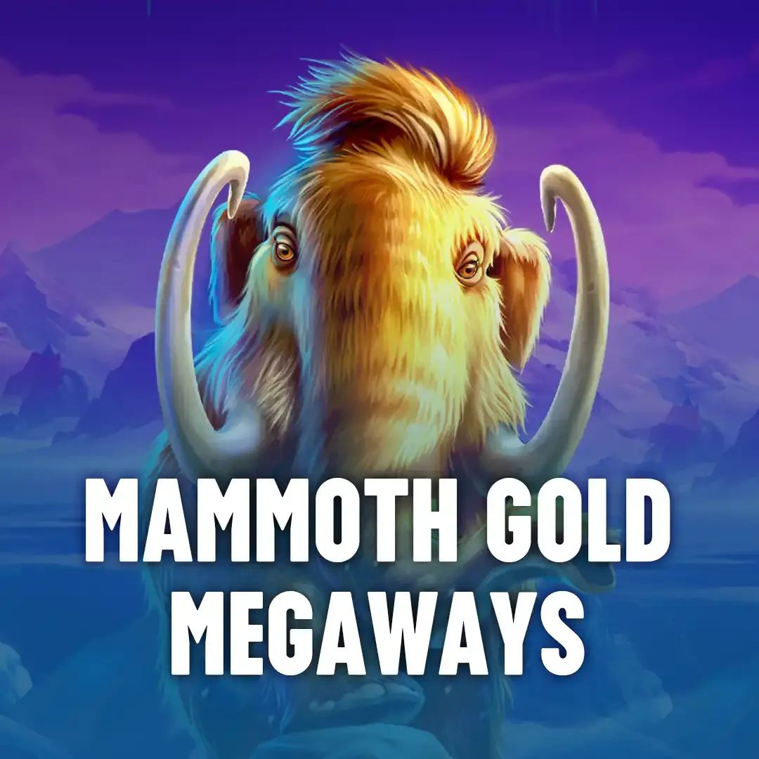 Money Roll Slots