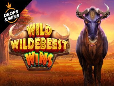 Stake slots
